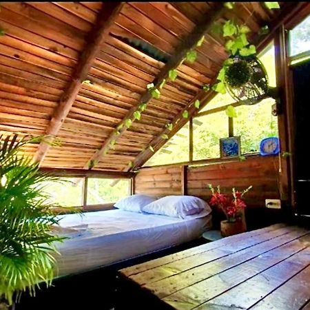 Tamarindo Beach Hostel تاجانجا المظهر الخارجي الصورة