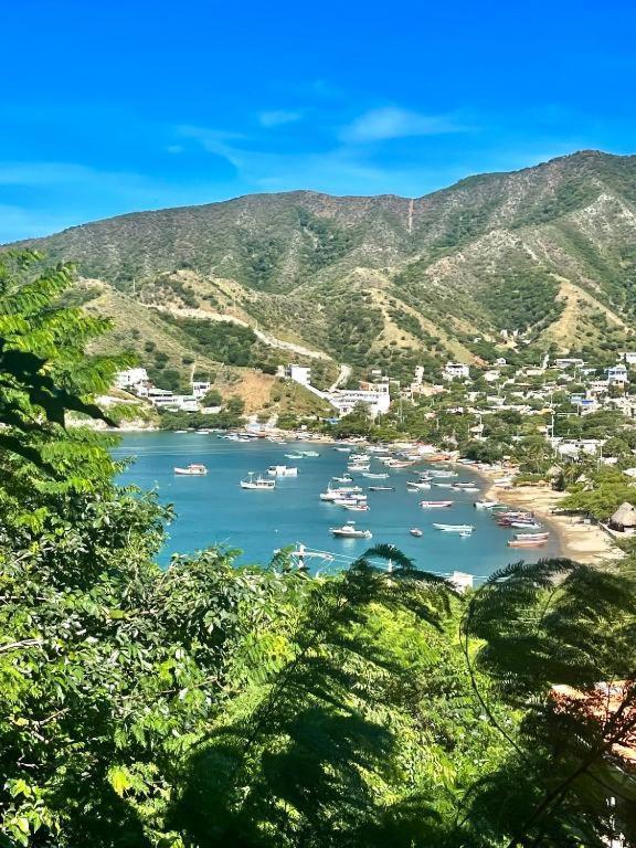 Tamarindo Beach Hostel تاجانجا المظهر الخارجي الصورة