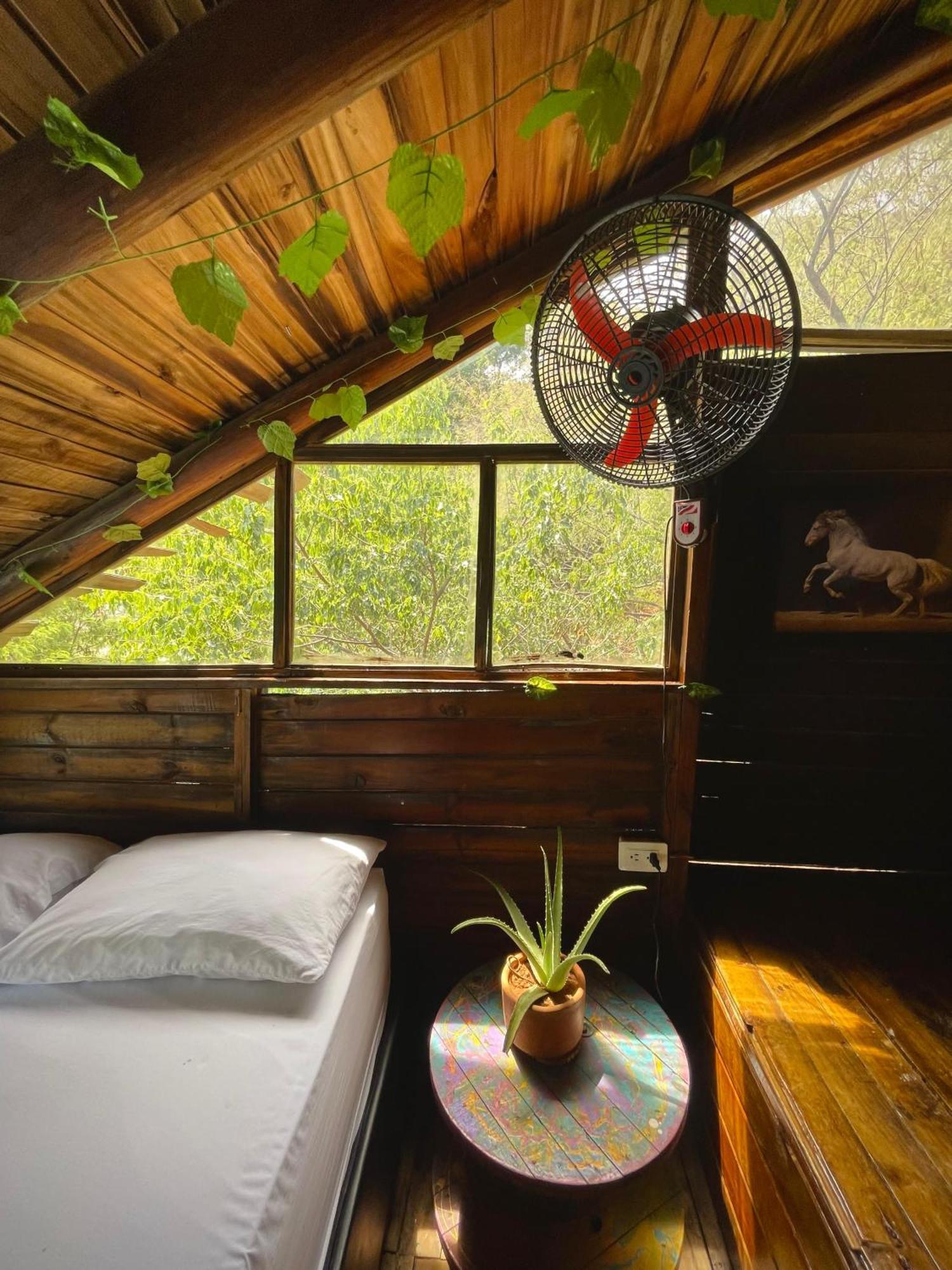 Tamarindo Beach Hostel تاجانجا المظهر الخارجي الصورة