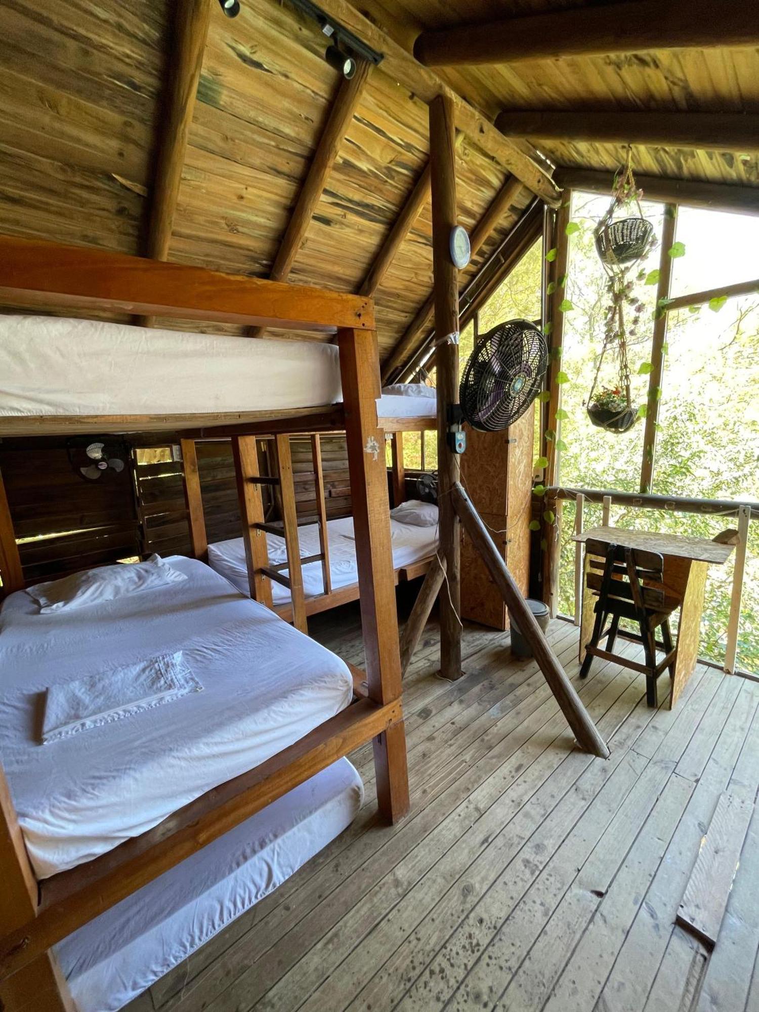 Tamarindo Beach Hostel تاجانجا المظهر الخارجي الصورة