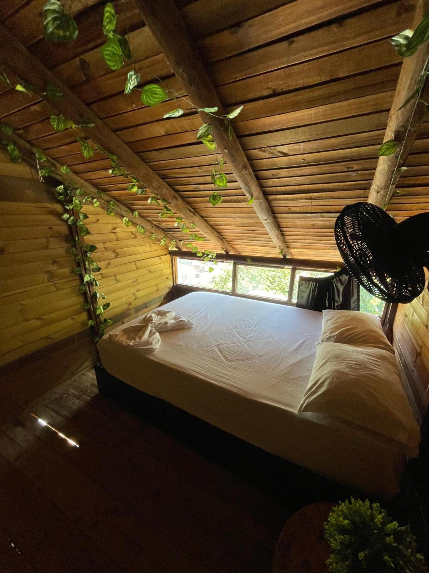 Tamarindo Beach Hostel تاجانجا المظهر الخارجي الصورة