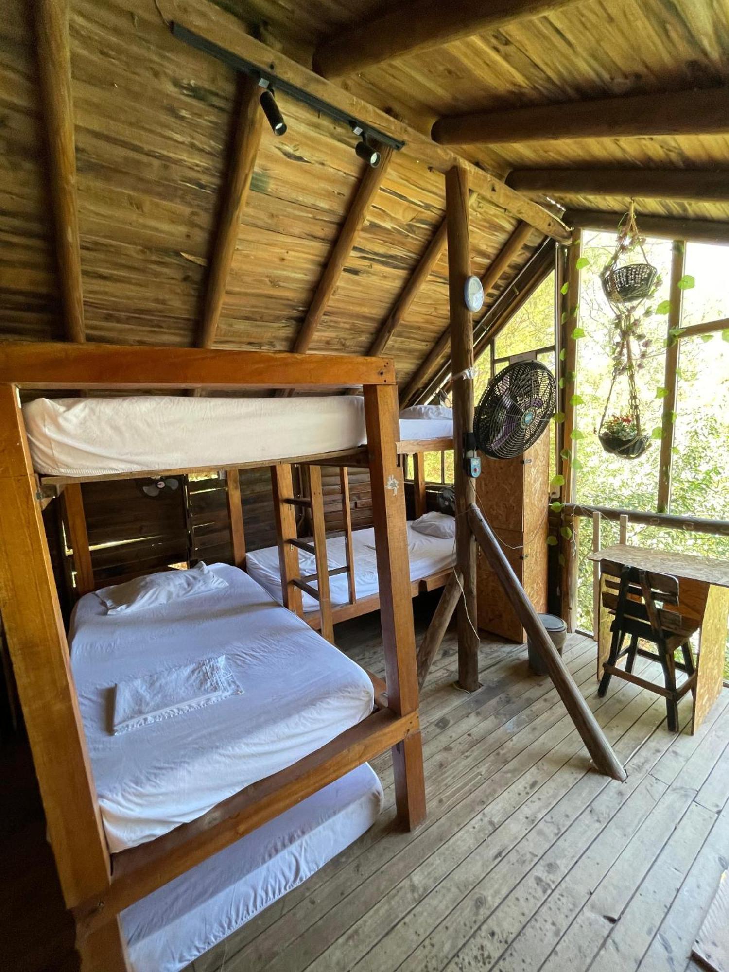 Tamarindo Beach Hostel تاجانجا المظهر الخارجي الصورة