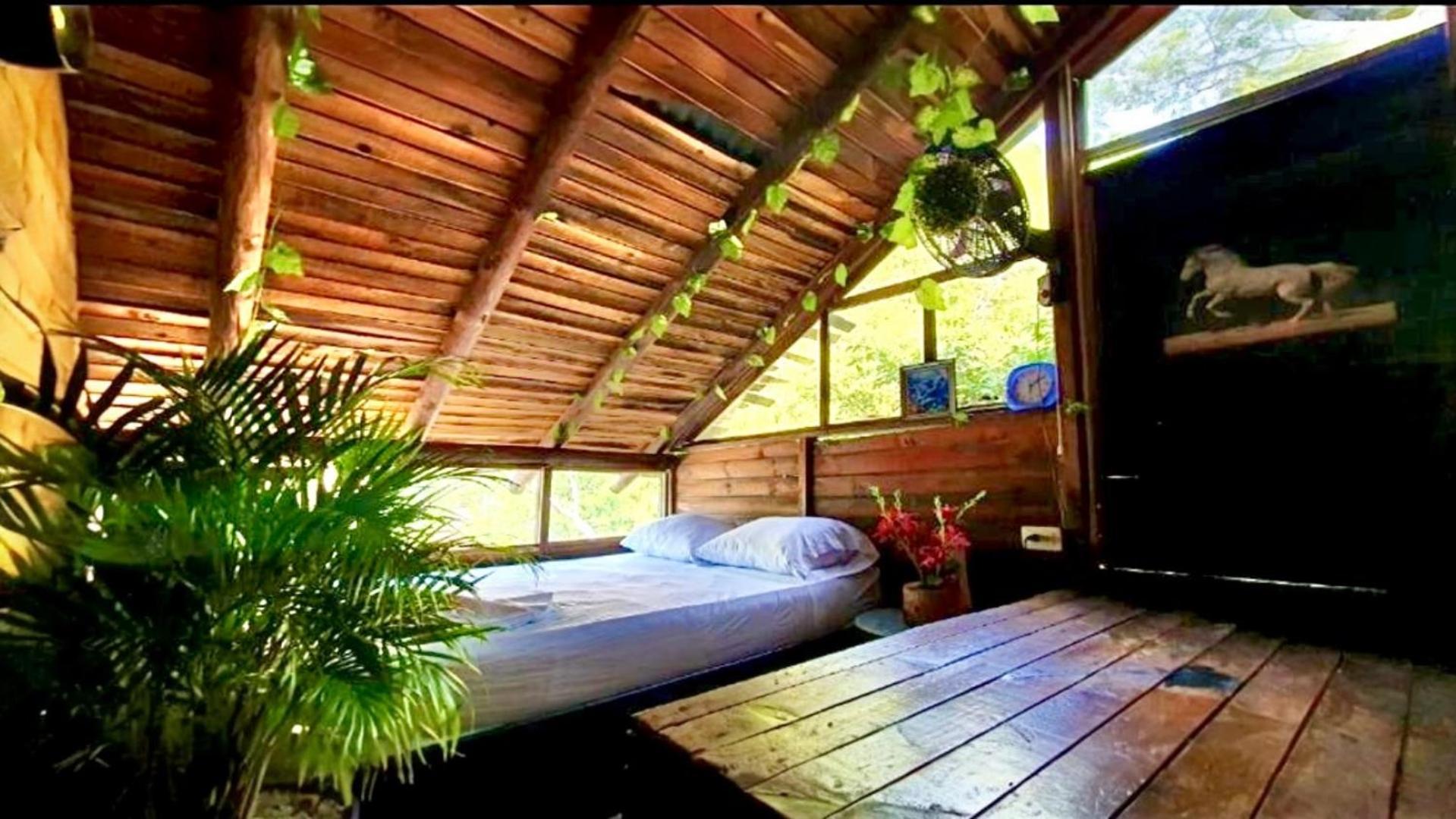 Tamarindo Beach Hostel تاجانجا المظهر الخارجي الصورة