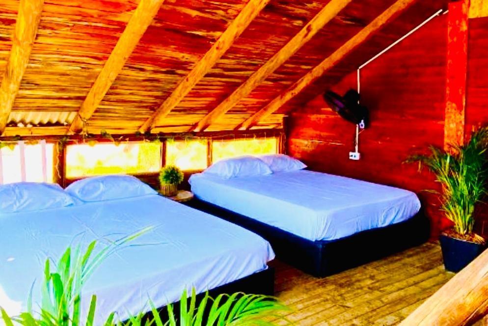 Tamarindo Beach Hostel تاجانجا المظهر الخارجي الصورة