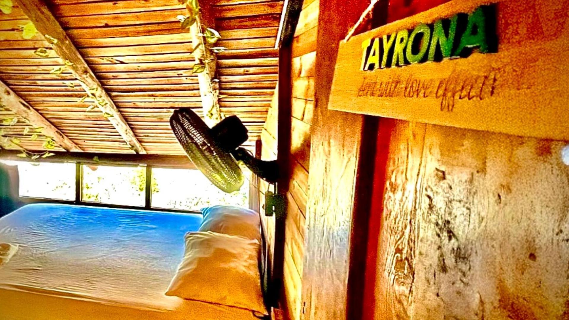 Tamarindo Beach Hostel تاجانجا المظهر الخارجي الصورة