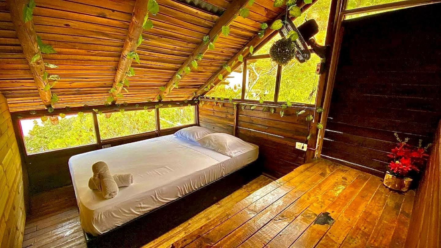 Tamarindo Beach Hostel تاجانجا المظهر الخارجي الصورة
