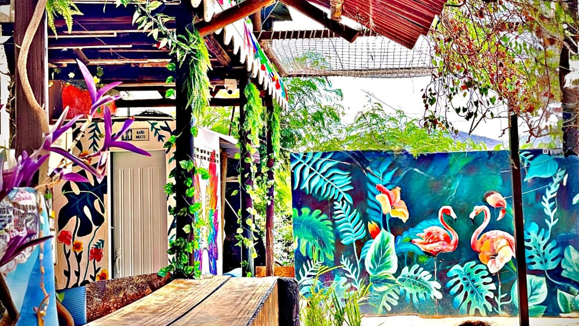 Tamarindo Beach Hostel تاجانجا المظهر الخارجي الصورة